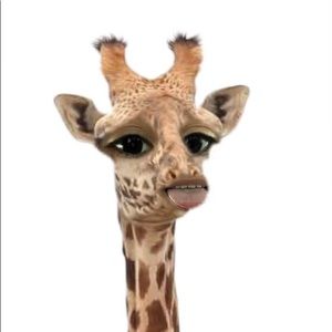 Meet your Posher, Daniela